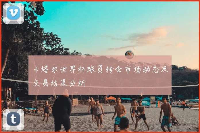 卡塔尔世界杯球员转会市场动态及交易结果分析